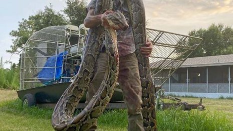 体長5m超の巨大ニシキヘビに噛みつかれるも血みどろで勝利