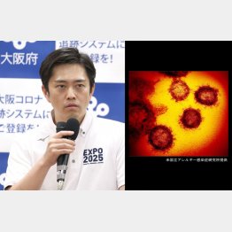 左は吉村大阪府知事、右は新型コロナウイルスの顕微鏡写真（Ｃ）日刊ゲンダイ