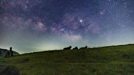 牧草地に寝転んで見た映画のスクリーンのような満天の星