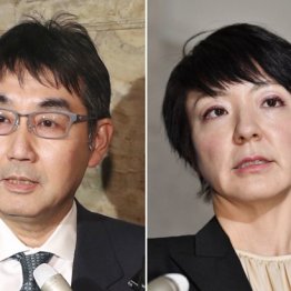 河井夫妻逮捕のその先 検察当局“本当の狙い”は安倍官邸か