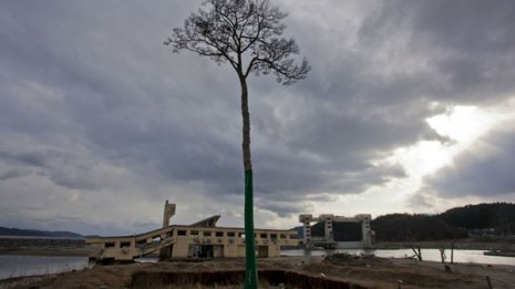 小規模地震多発は不気味な予兆…「大地震の相場」の復習を