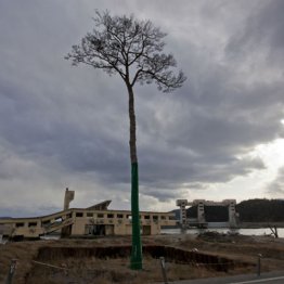 小規模地震多発は不気味な予兆…「大地震の相場」の復習を