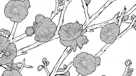 押しに弱い日本人の国民性 江戸時代のキス習慣にあり?