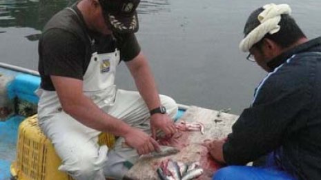 海水浴場ダメなら漁港へGO!「自宅で漁師料理」という贅沢