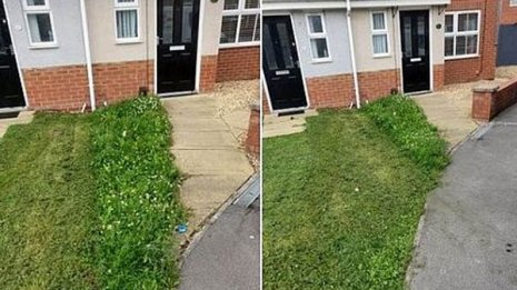 写真の芝生を見れば分かる…隣人のケチくささに思わず失笑