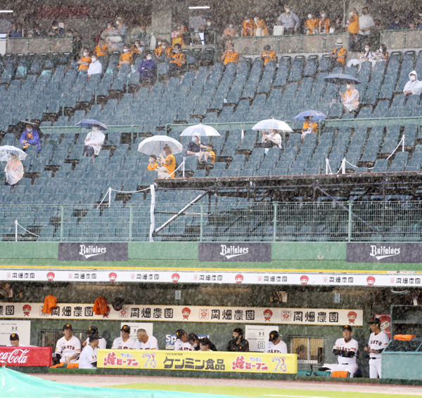 大雨の中、試合開始を待つ巨人ベンチ（右から2番目が原監督）と観客（Ｃ）日刊ゲンダイ