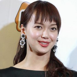 「私の家政夫ナギサさん」プロフェッショナルとは何か?