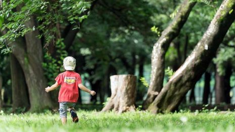 増える子供の性犯罪被害 親子ですぐやるべき「3つの対策」