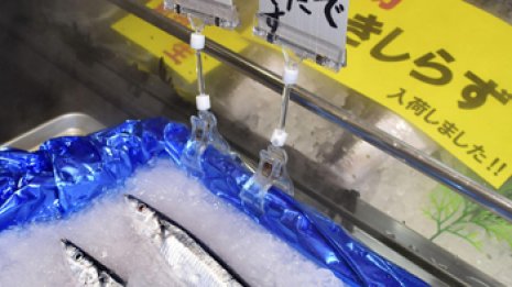 大衆魚がなぜ 初競りサンマ過去最高値「1匹5980円」の衝撃