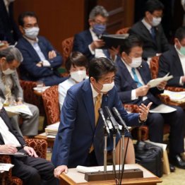 間抜けの象徴「アベノマスク問題」今なおだらしなく進行中