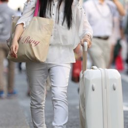 「Go To トラベル」見切り発車の裏に…旅行業界の阿鼻叫喚