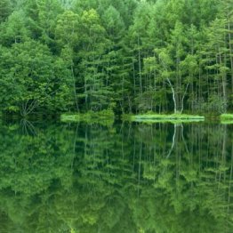 過疎と田舎を逆手に…安全安心の「静かな観光地」がブーム