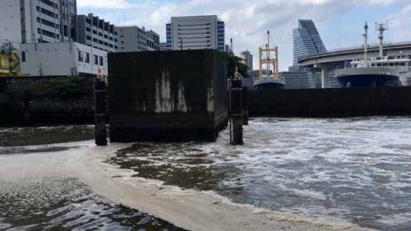 トイレ臭指摘のお台場海浜公園 海水は茶色く泡立っている