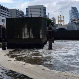 トイレ臭指摘のお台場海浜公園 海水は茶色く泡立っている