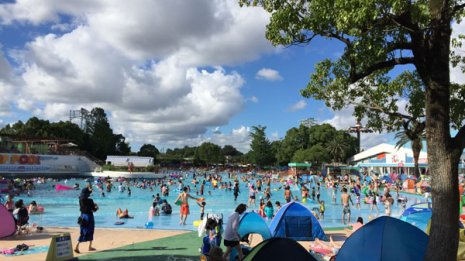 プールに潜むコロナ感染経路 水中では安心も“落とし穴”が