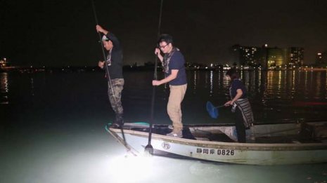 800種類の魚介が生きる浜名湖の豊かな恵みを味わい尽くす