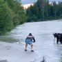 「サーモンとクマを釣った」釣り師のクールな動画が話題に
