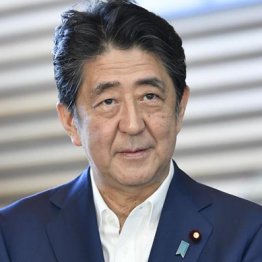 安倍政権が7年8カ月で「成し遂げた」のは国家と社会の破壊