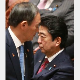 2人の間にはすきま風が（安倍首相と菅官房長官）／（Ｃ）日刊ゲンダイ