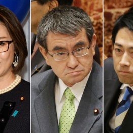 これが菅新政権「閣僚名簿」人気優先で解散総選挙へシフト