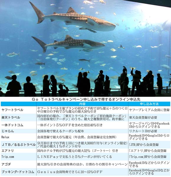 沖縄旅行もオトク（写真は美ら海水族館）／（Ｃ）日刊ゲンダイ