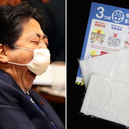 アベノマスクやはり“バカ高”だった…黒塗り忘れで単価バレ