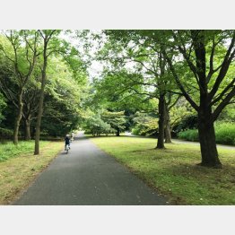 「高松」は昭和記念公園も近い