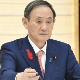 菅首相「名簿見ていない」発言は安倍前首相への責任転嫁か