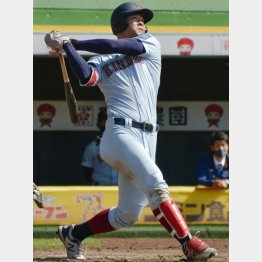 関西学生野球リーグの通算本塁打記録に並ぶ通算13本目の右越え2ランを放つ（Ｃ）共同通信社