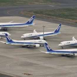 ANA年収3割削減…2003年りそな銀行“大リストラ”との共通項