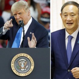 錯乱トランプは自滅の様相 青ざめている安倍継承の菅政権