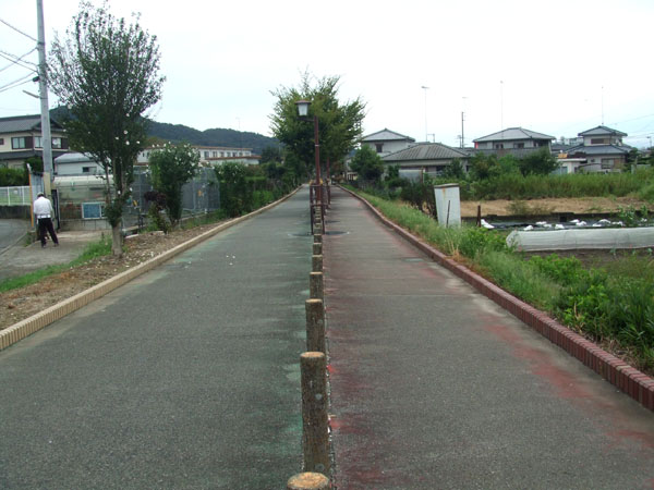 遊歩道として整備された小松島線跡（Ｃ）日刊ゲンダイ