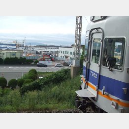和歌山港駅から見た南海フェリーターミナル（Ｃ）日刊ゲンダイ