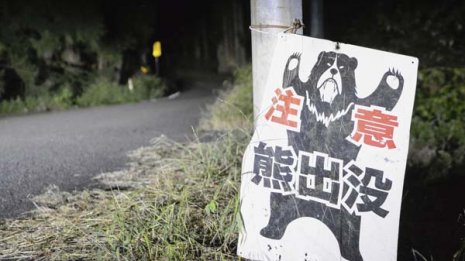 1日平均75件…相次ぐクマ出現は「コロナが原因」って本当