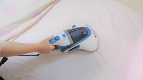 秋冬も要注意…ダニが好む布団やソファ以外の意外な場所