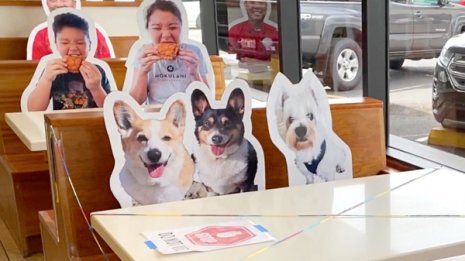 米ハワイ州が日本からの観光客も「隔離免除」でどうなる?