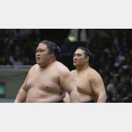 （Ｃ）2020「相撲道～サムライを継ぐ者たち～」製作委員会