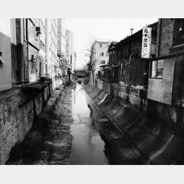 渋谷川（「東京は、秋」から）1972-73年撮影（提供写真）