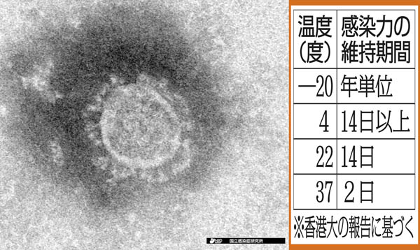 香港大研究チームの報告（右）と新型コロナウイルスの顕微鏡写真（国立感染症研究所提供）