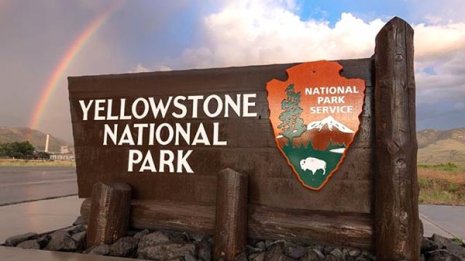 温泉の熱湯でニワトリを丸煮し御用…罰金12万5000円ナリ！