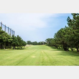 茅ヶ崎ゴルフ倶楽部のフラットなシーサイドコース（提供写真）