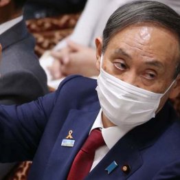 菅さんはまだ金が欲しいって？ 夢見が悪くないのかな？