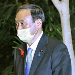 菅首相は雲隠れ GoTo見直しでも“逃げ恥”決め込み顔見えず