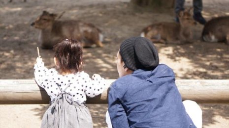 精子提供は誰が親か? ようやく法整備だが問題は山積み