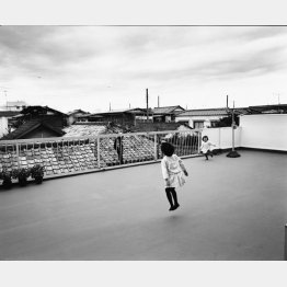豪徳寺のマンションの広いバルコニー（1982～83年頃撮影）／（提供写真）
