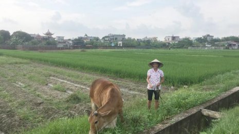 <3>本国で仕事がない貧しい層が日本へ出稼ぎに 借金し来日