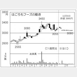 はごろもフーズの株価チャート（Ｃ）日刊ゲンダイ