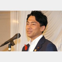 小泉進次郎環境相は国会で追及されると無理な答弁…（Ｃ）日刊ゲンダイ