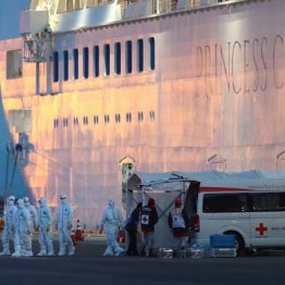 神戸大・岩田健太郎教授が警鐘「D.プリンセスの経験が生かさせていない」