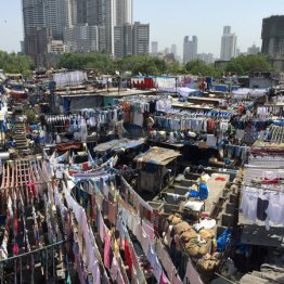 「13億人のトイレ」が活写する経済大国インドの下半身